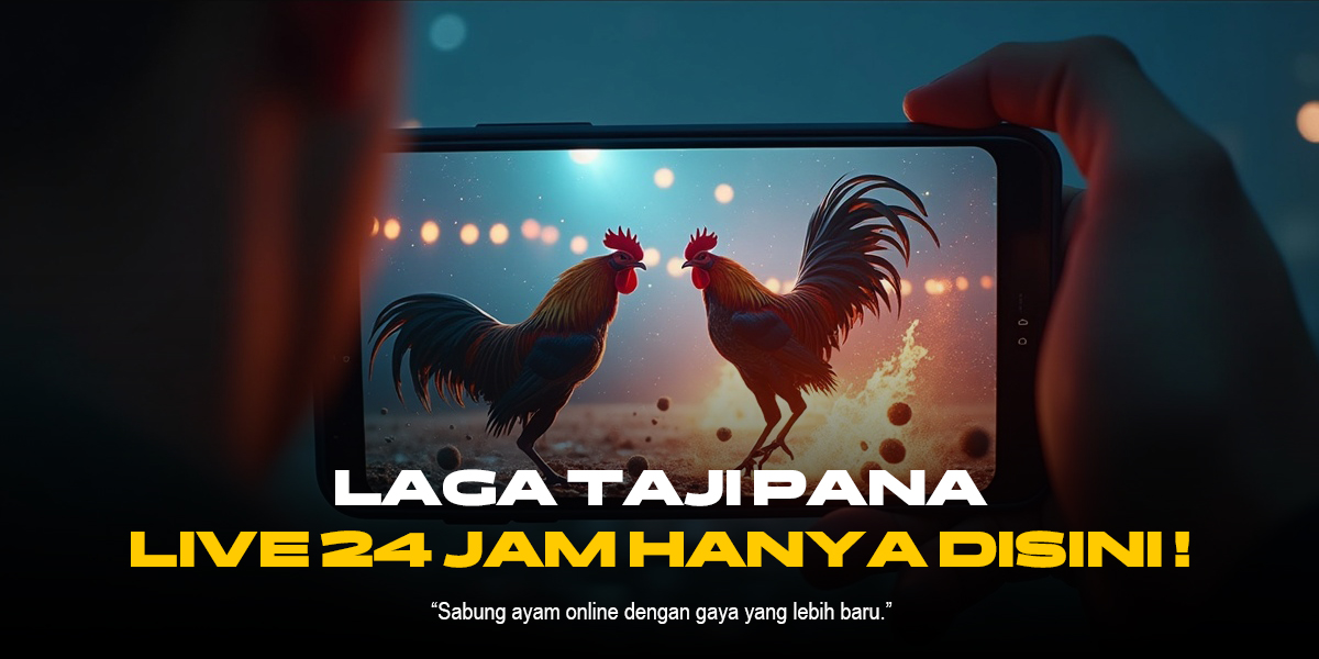 Mengenal Jenis Ayam Aduan SV388 yang Paling Banyak Dicari