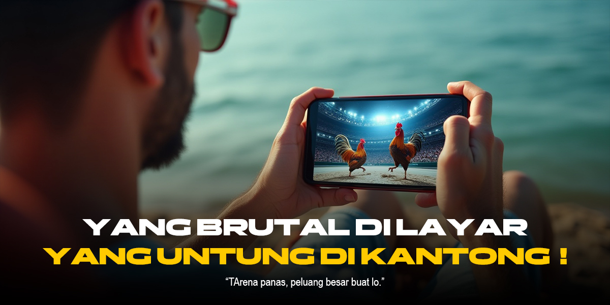 Mengenal Jenis Ayam Petarung SV388 dan Cara Menang Sabung Ayam